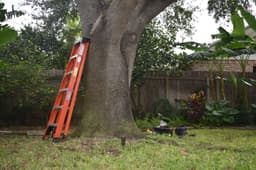 Eco-Friendly and Sustainable Solutions's image